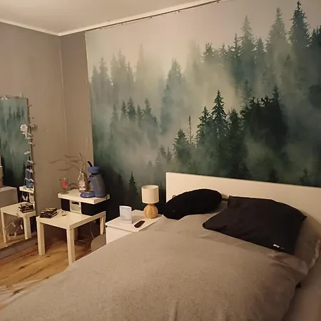 Alojamento de Acomodação e Pequeno-almoço Eifelsteigzimmer Bruderherz